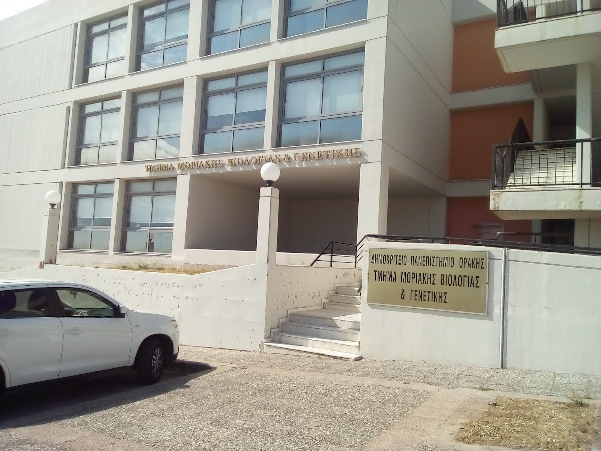 Democritus University of Thrace - Alexandroupoli photo 5