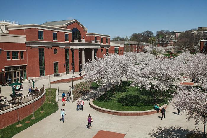 Western Kentucky University photo 5