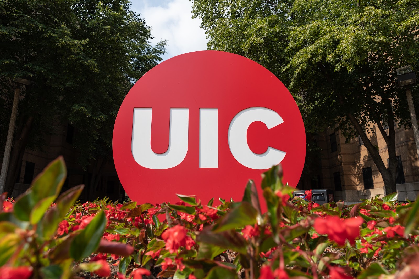 Regional University 3142