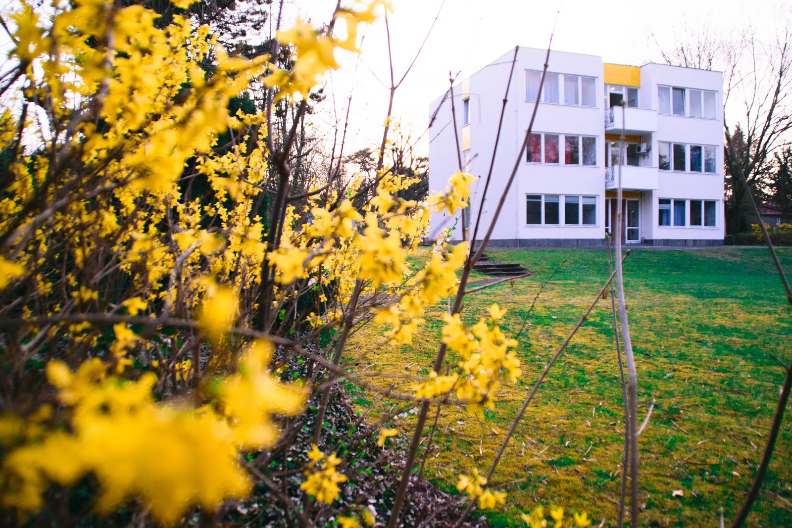 European College of Liberal Arts (ECLA) campus