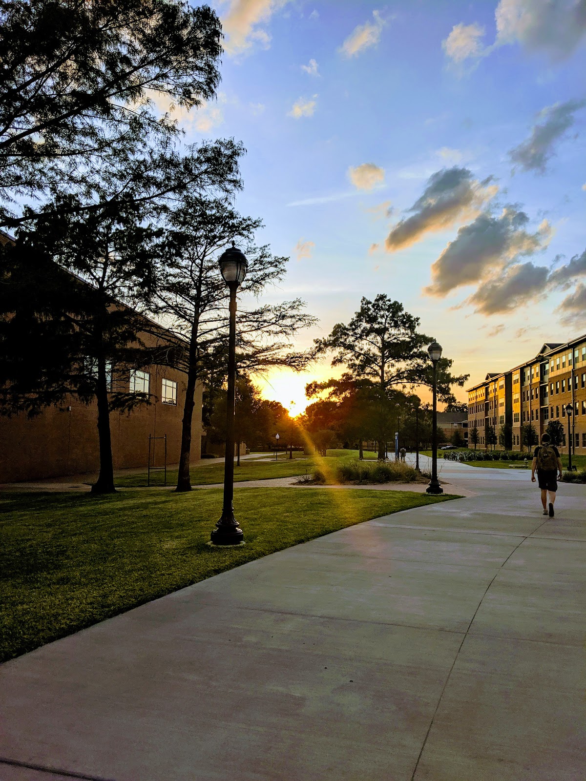 University of Texas Arlington photo 9