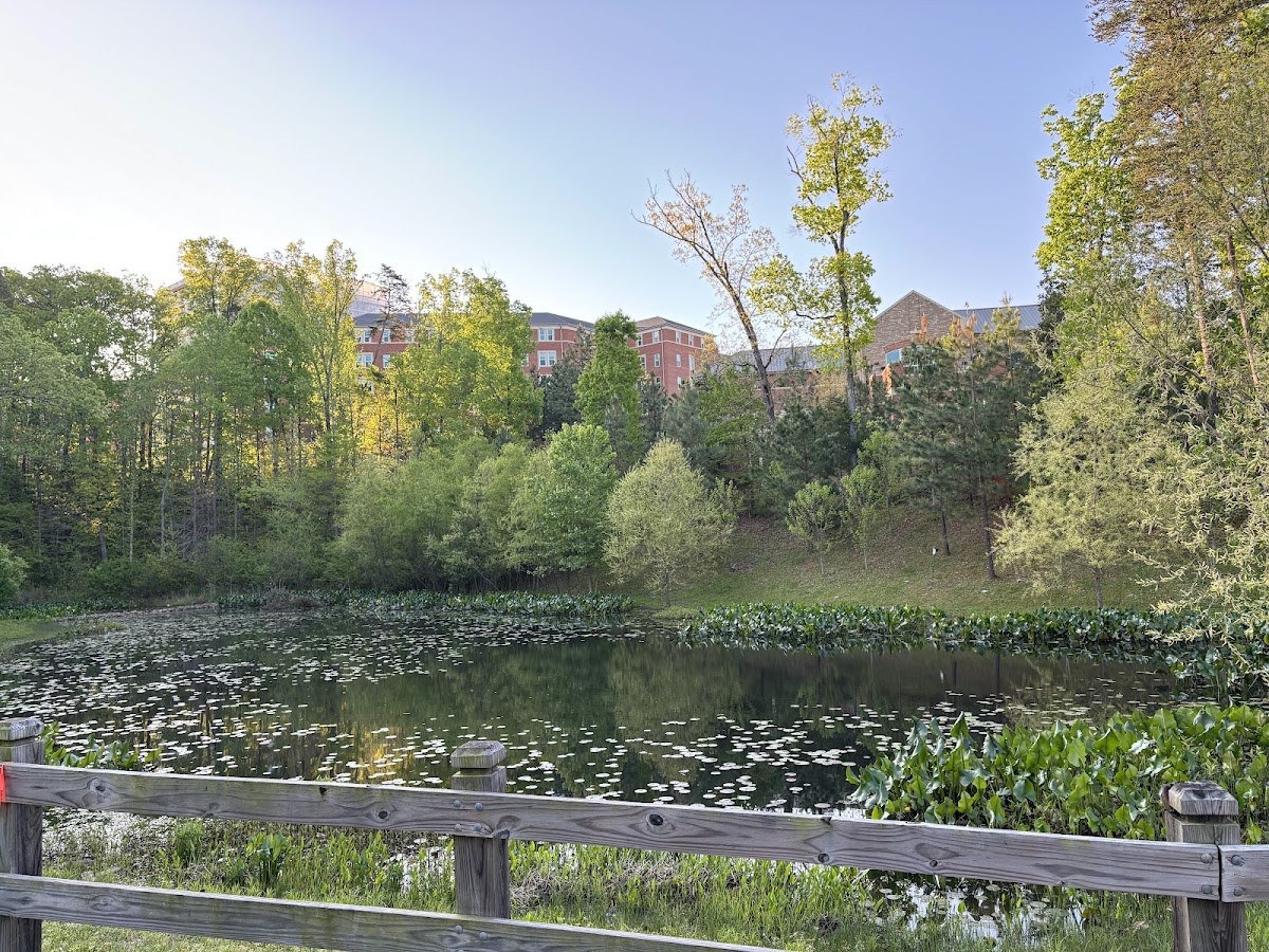 College of 2234 photo 4
