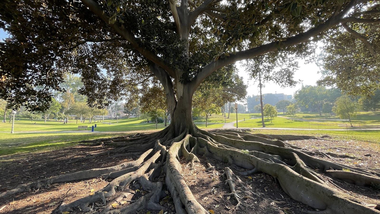 Irvine