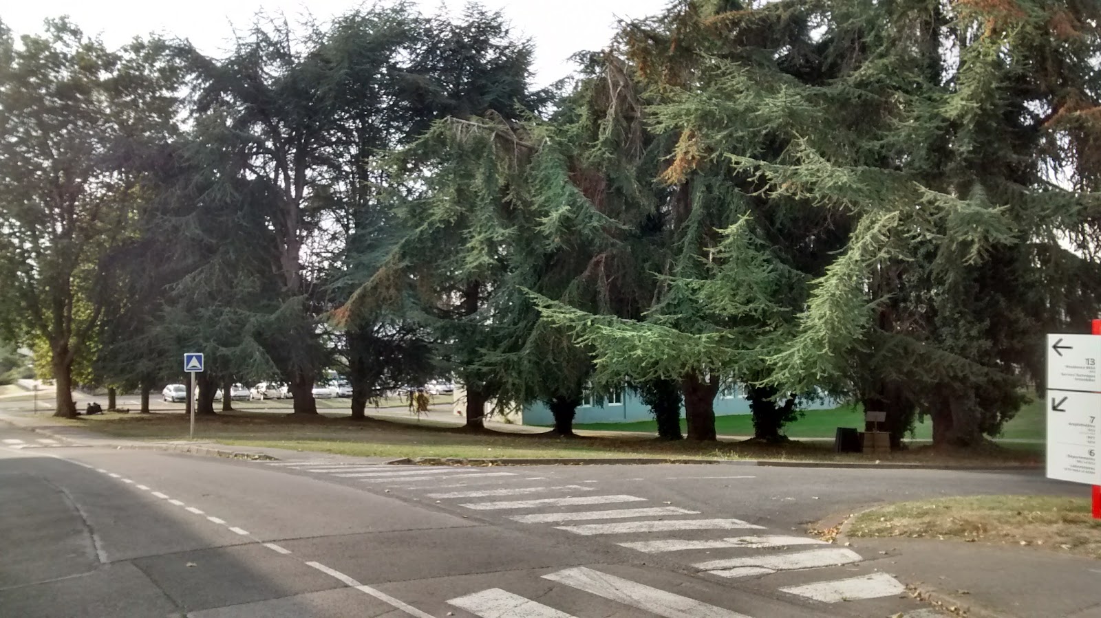 INSA Rennes