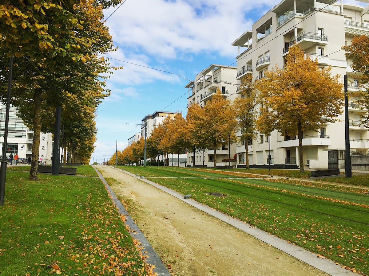 University of Angers photo 3