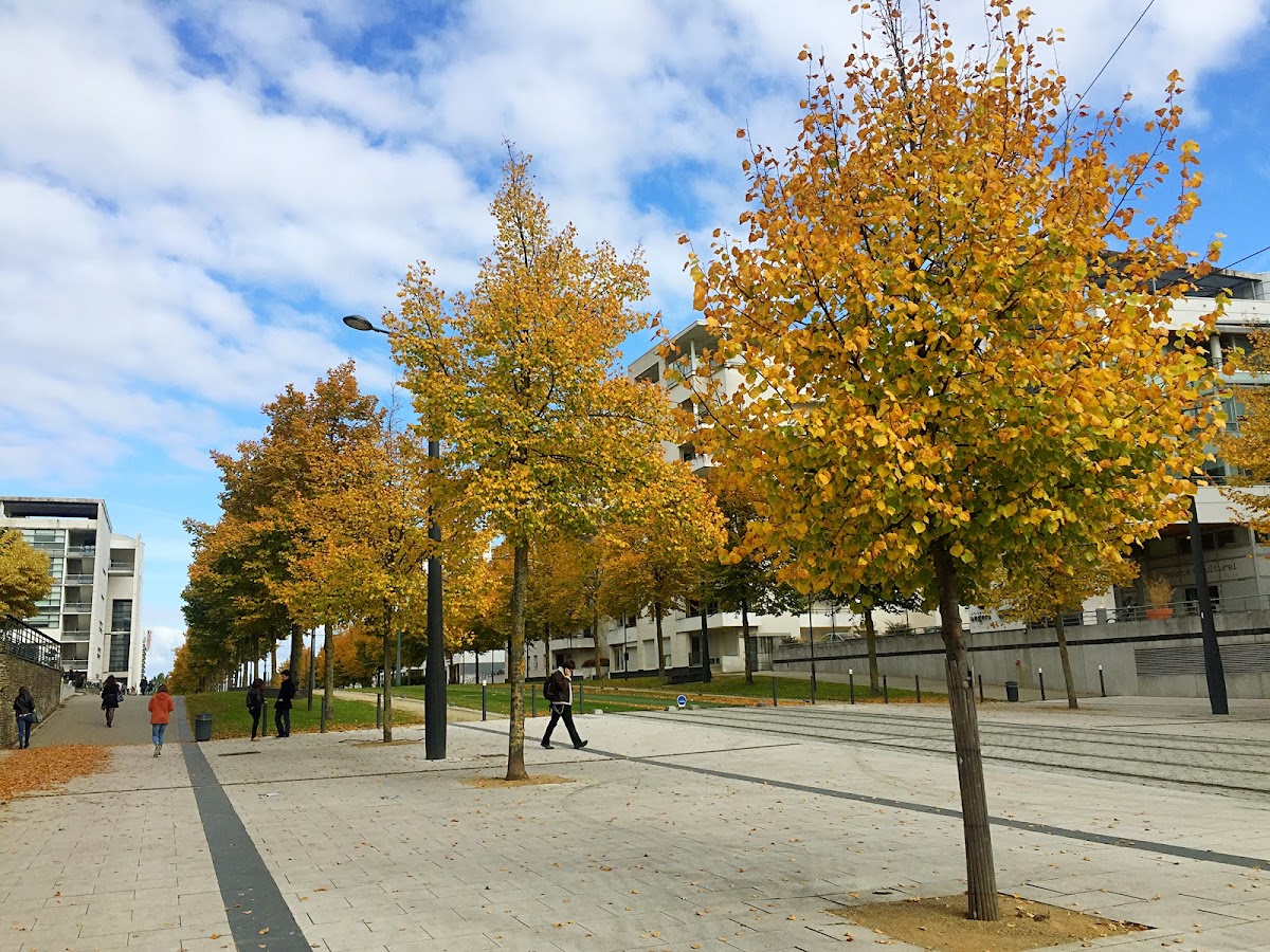 University of Angers photo 5