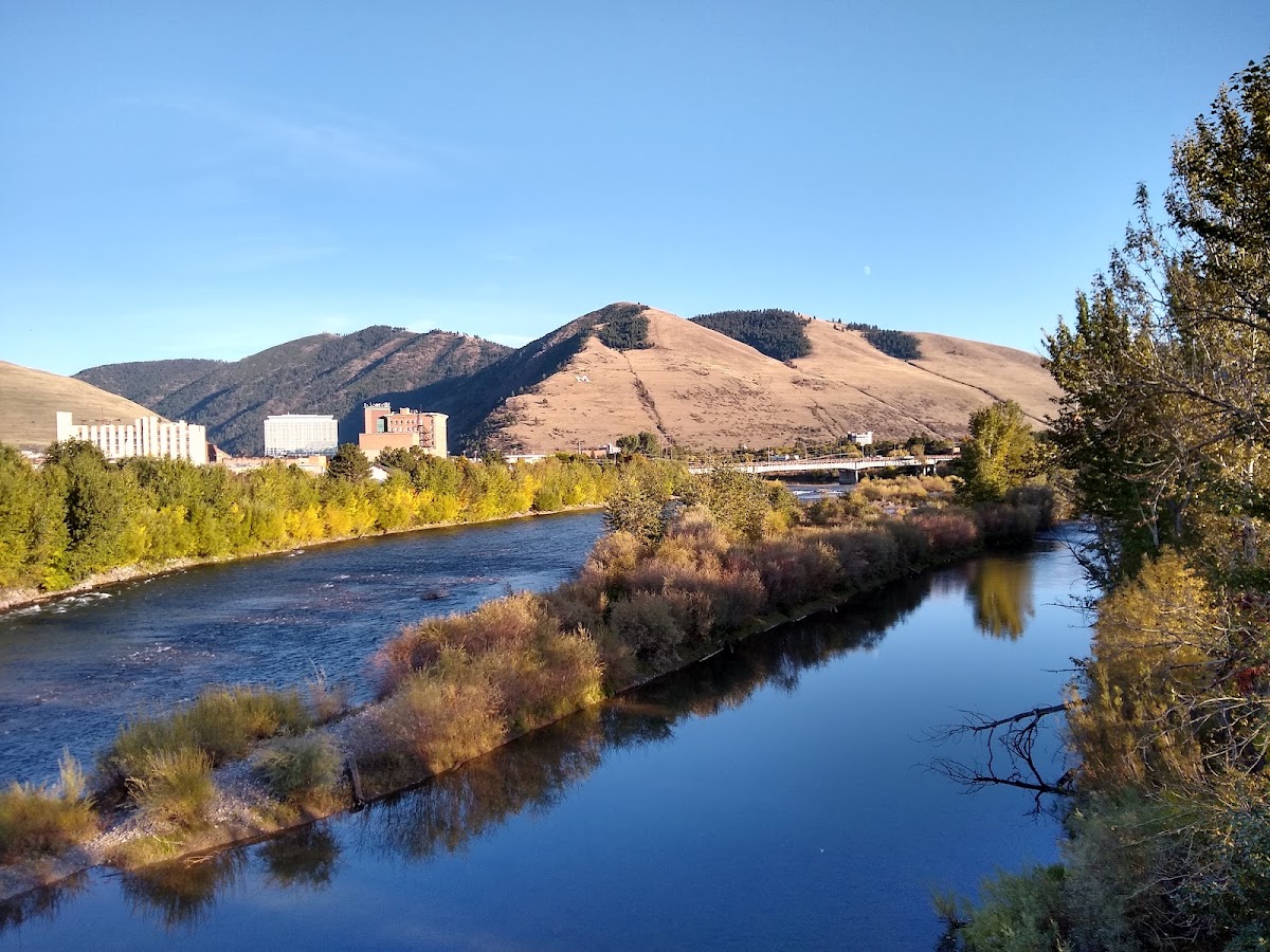 University of Montana photo 4