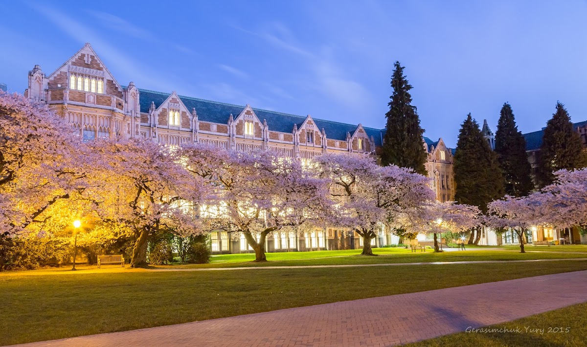 University of 3385 photo 2