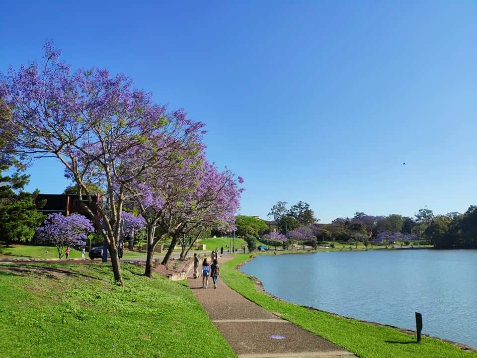University of Queensland photo 2