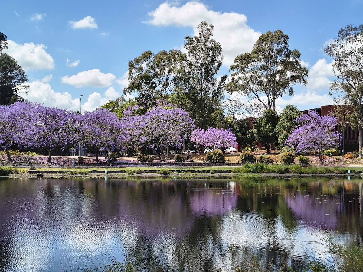 University of Queensland photo 5