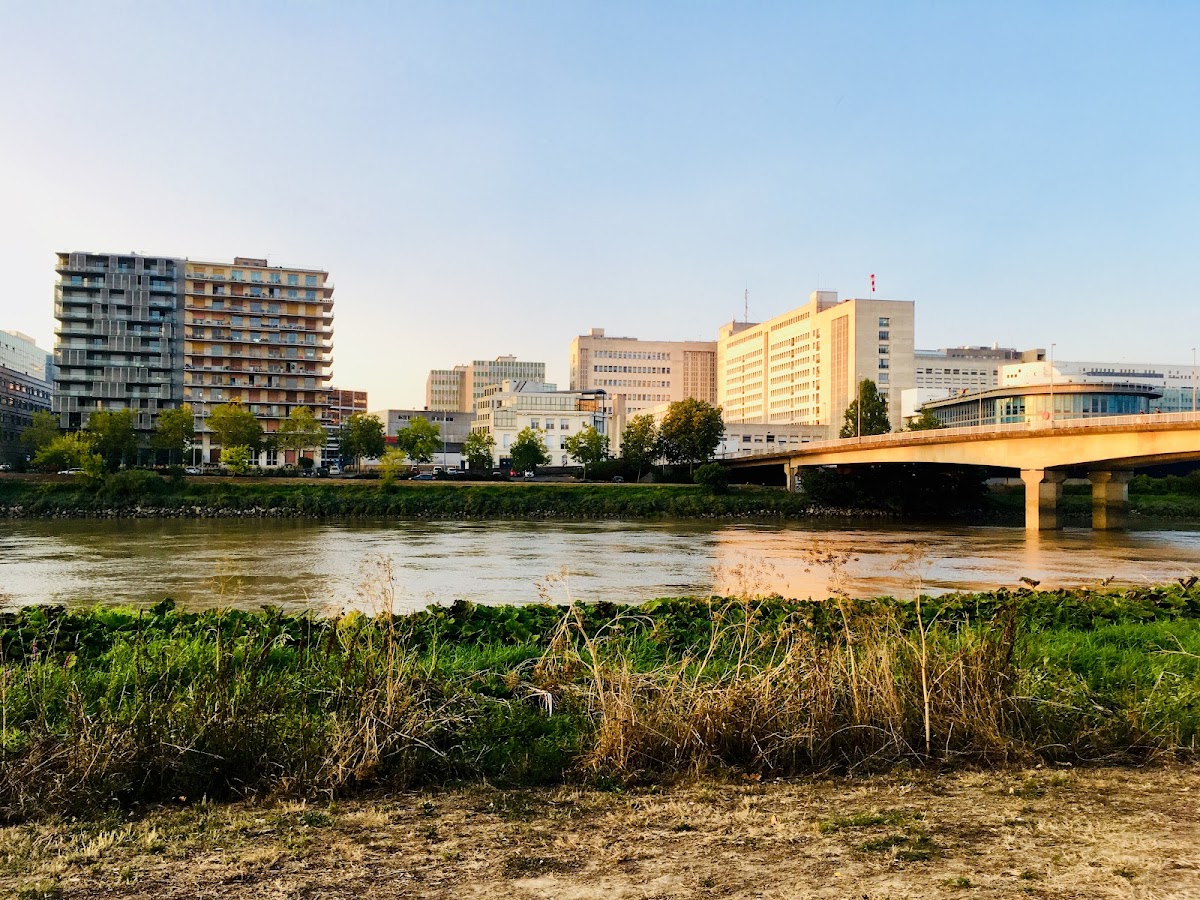 University of Nantes photo 2
