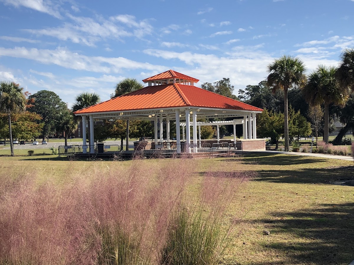 Savannah State photo 8