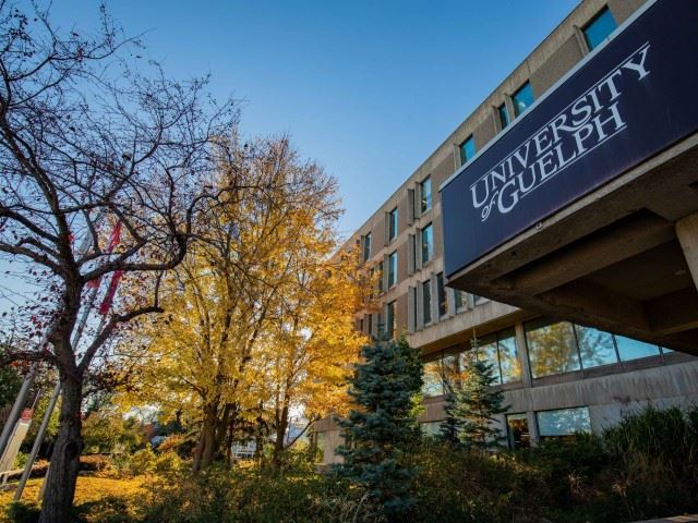 Guelph University photo 4