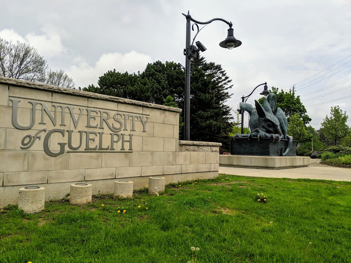 Guelph University photo 8