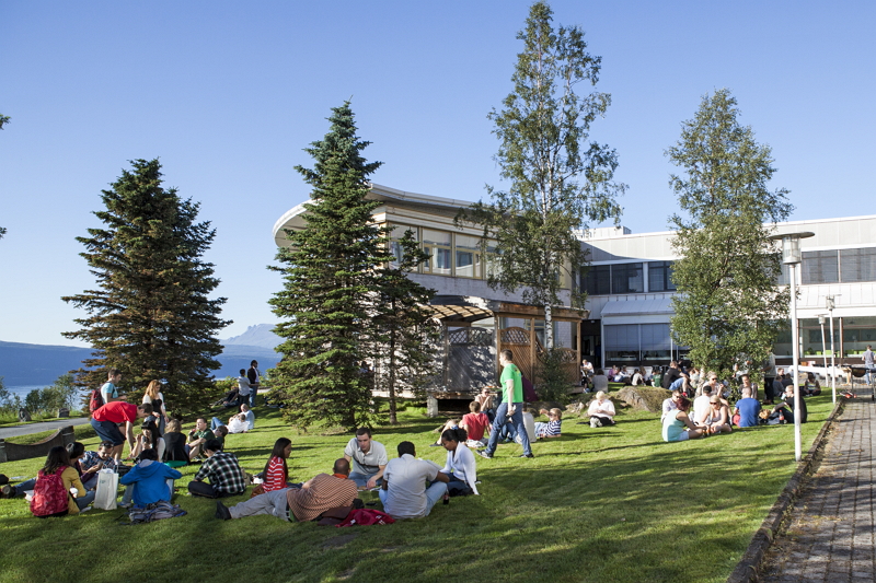 The Arctic University of Norway - Narvik photo 5