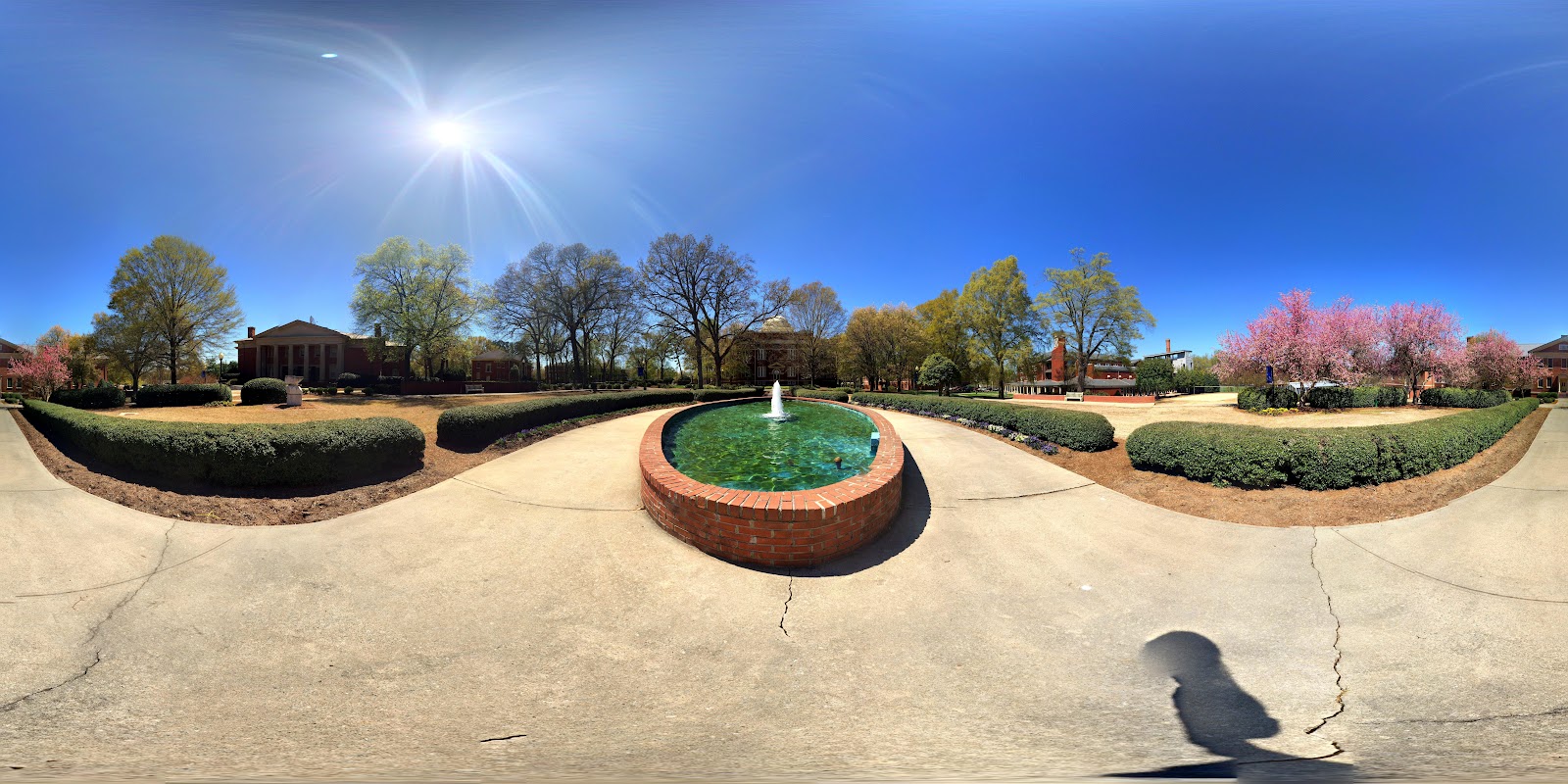 Study in Clinton, United States