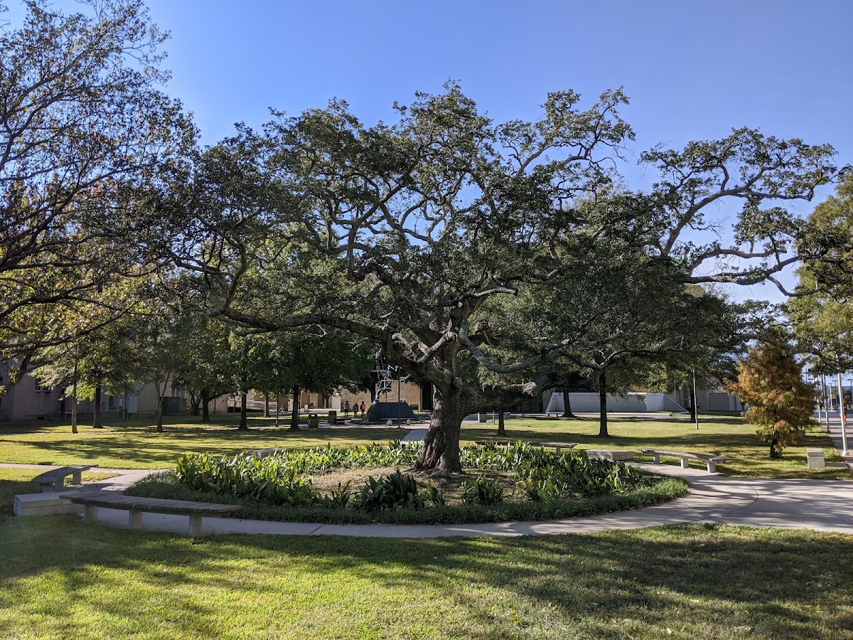 Xavier University of Louisiana photo 5