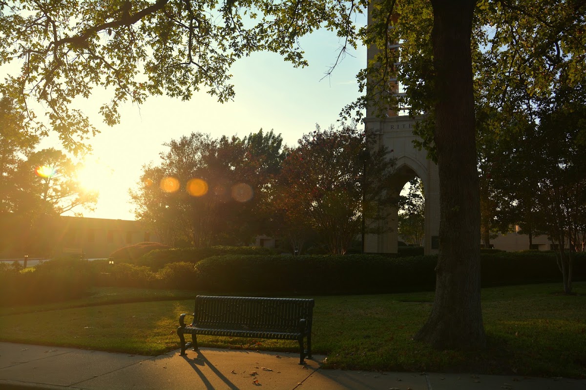 UT Tyler photo 2