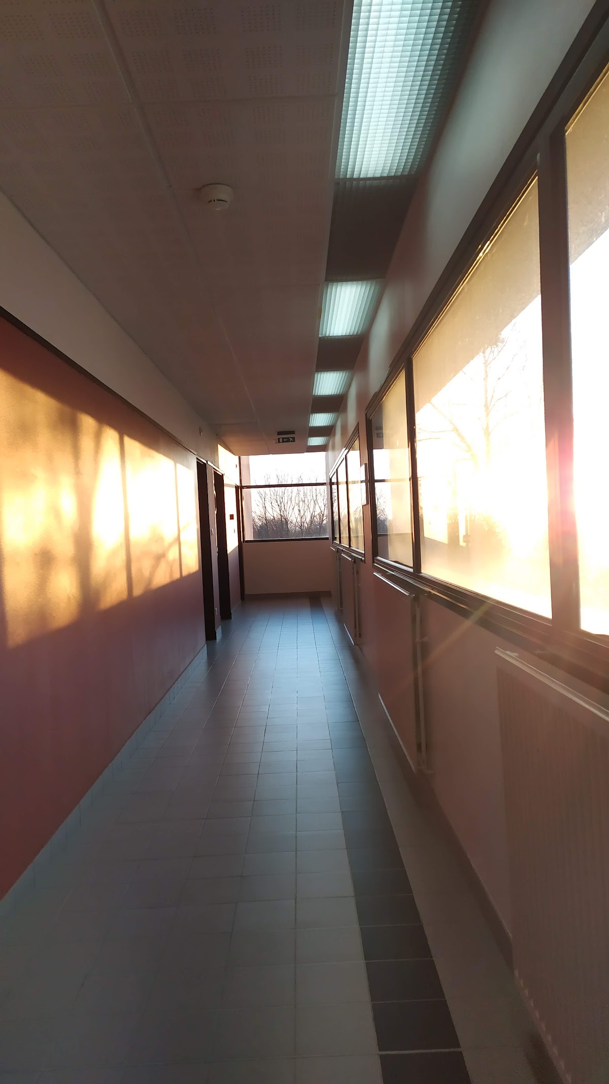 Université de Limoges photo 2