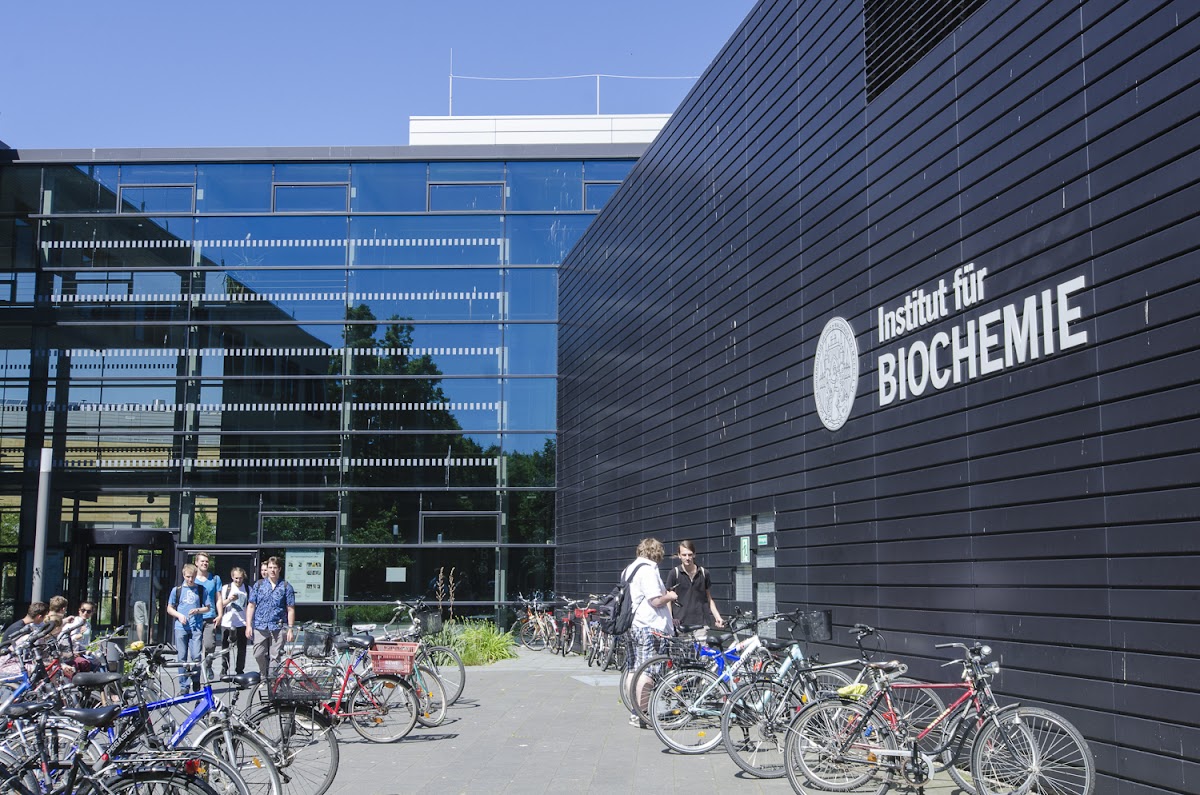 Ernst Moritz Arndt University photo 4