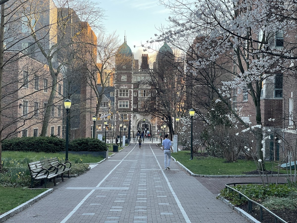 University of 1796 photo 3