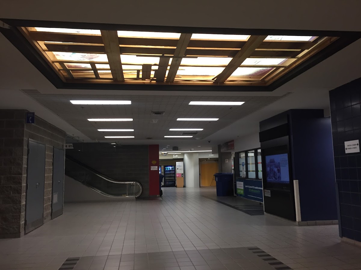 UQAM photo 3