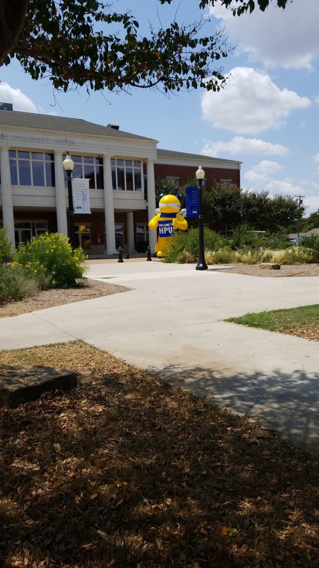 Howard Payne photo 8