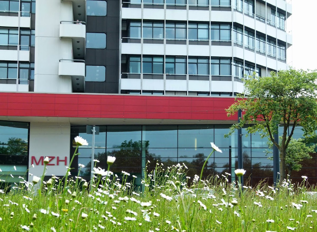 Universität Bremen photo 2