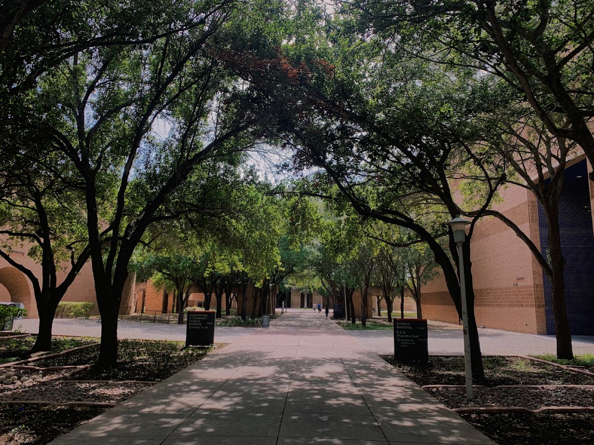 University of Texas Rio Grande Valley photo 3