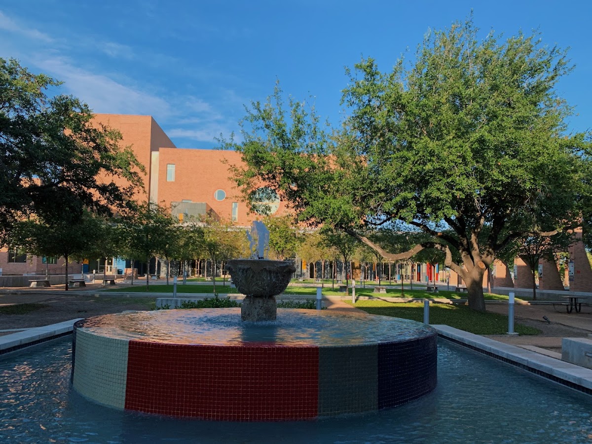 University of Texas Rio Grande Valley photo 5