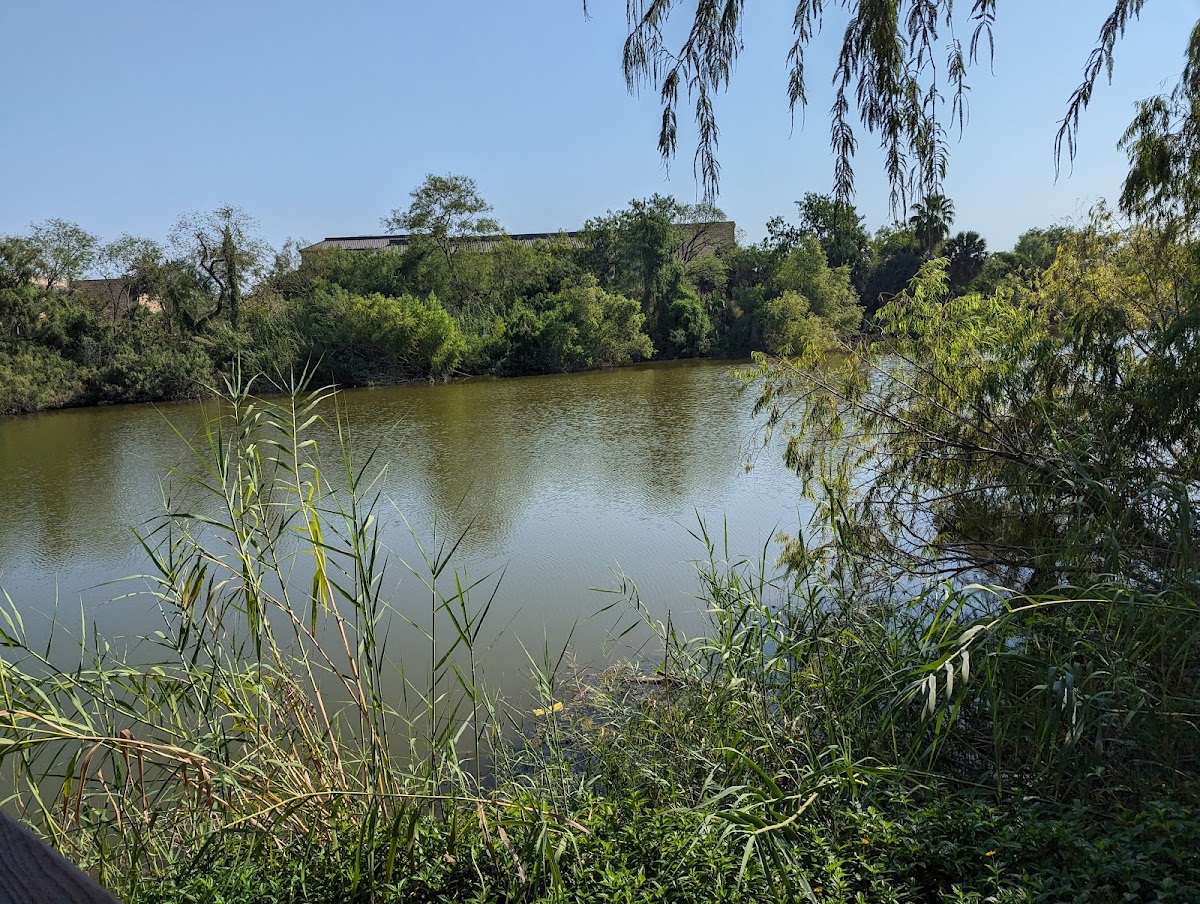 University of Texas Rio Grande Valley photo 6