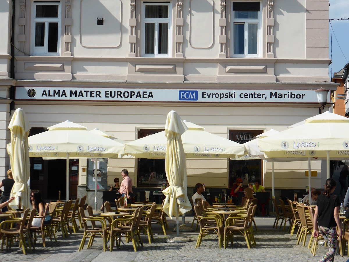 Alma Mater Europaea – European Academy of Sciences and Arts photo 6