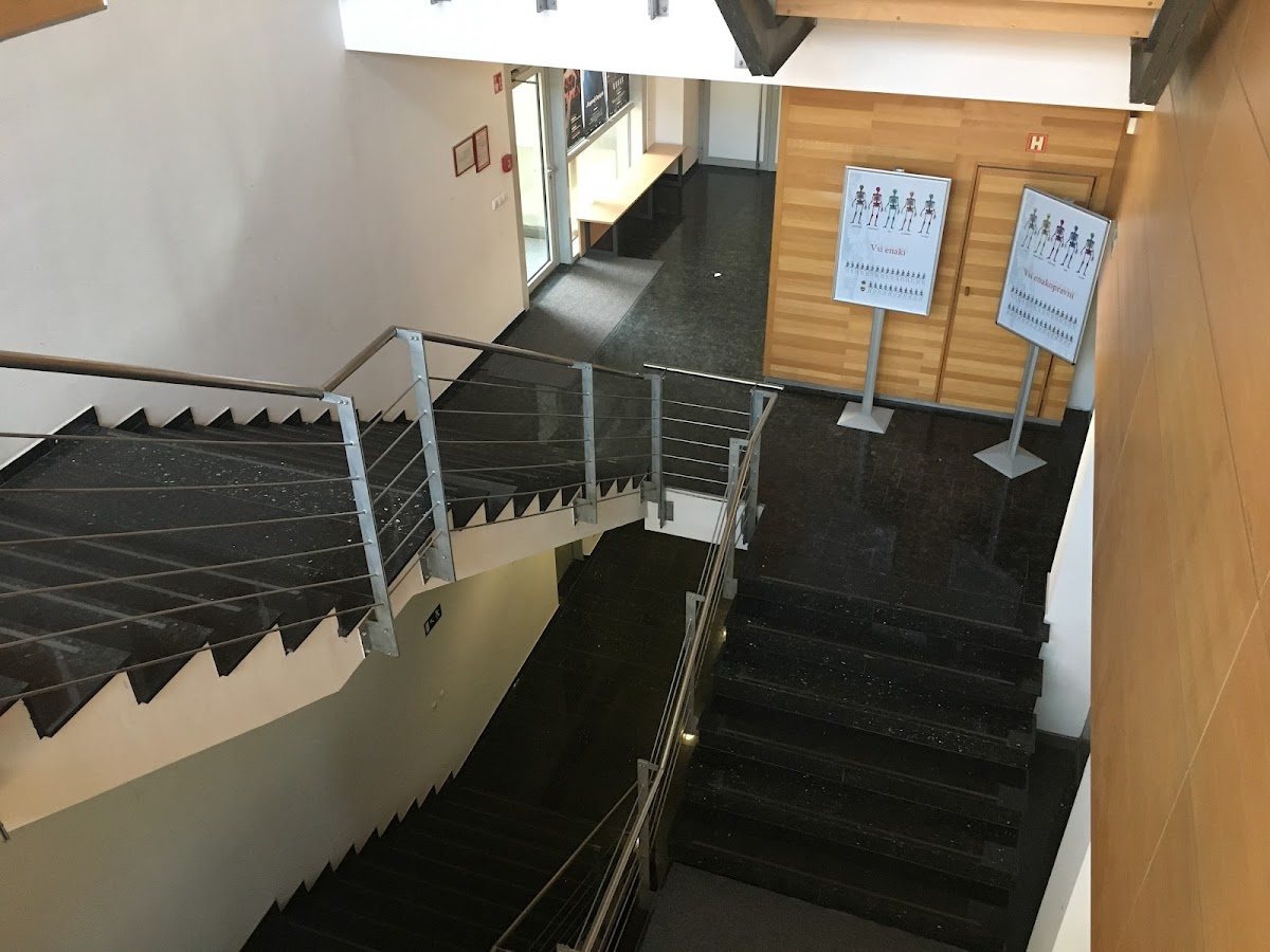 Alma Mater Europaea – European Academy of Sciences and Arts photo 7