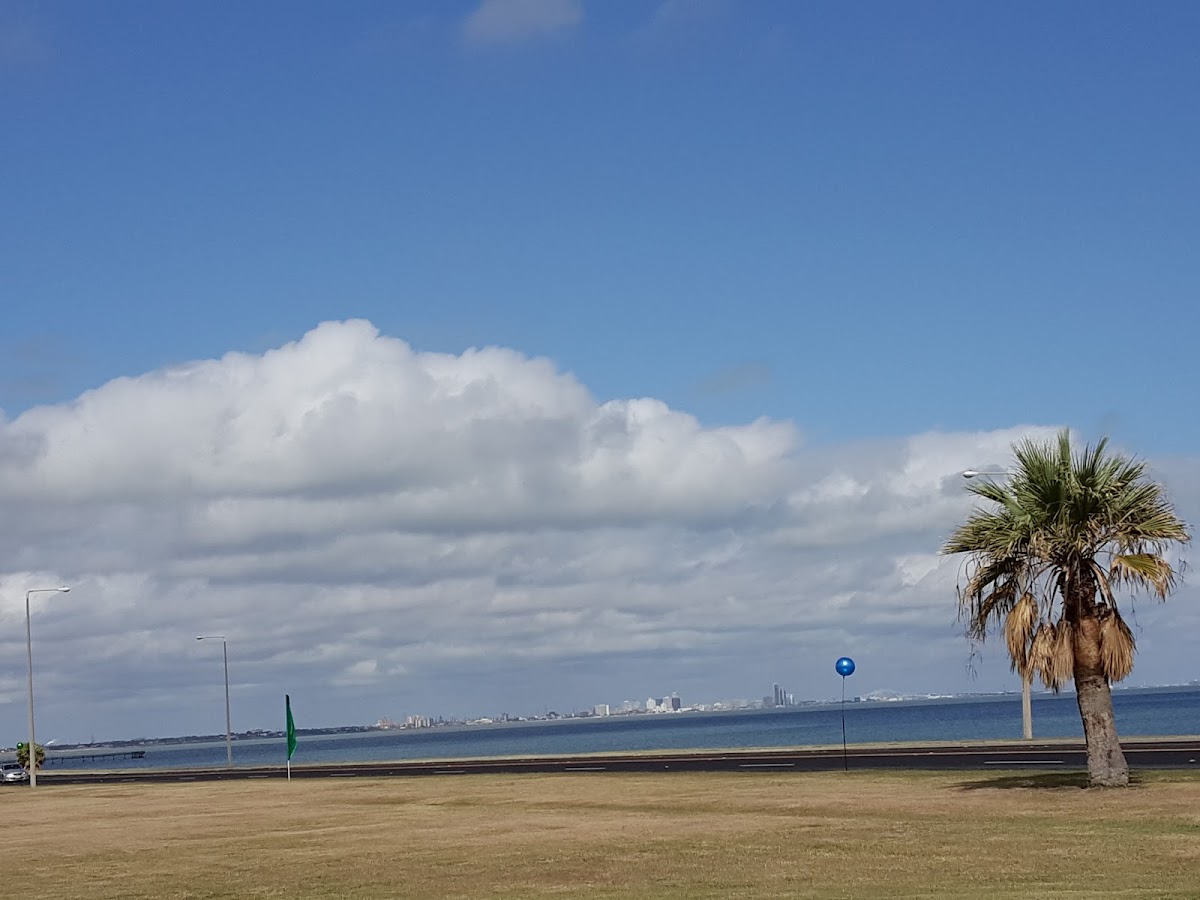 Texas A&M Corpus Christi photo 7