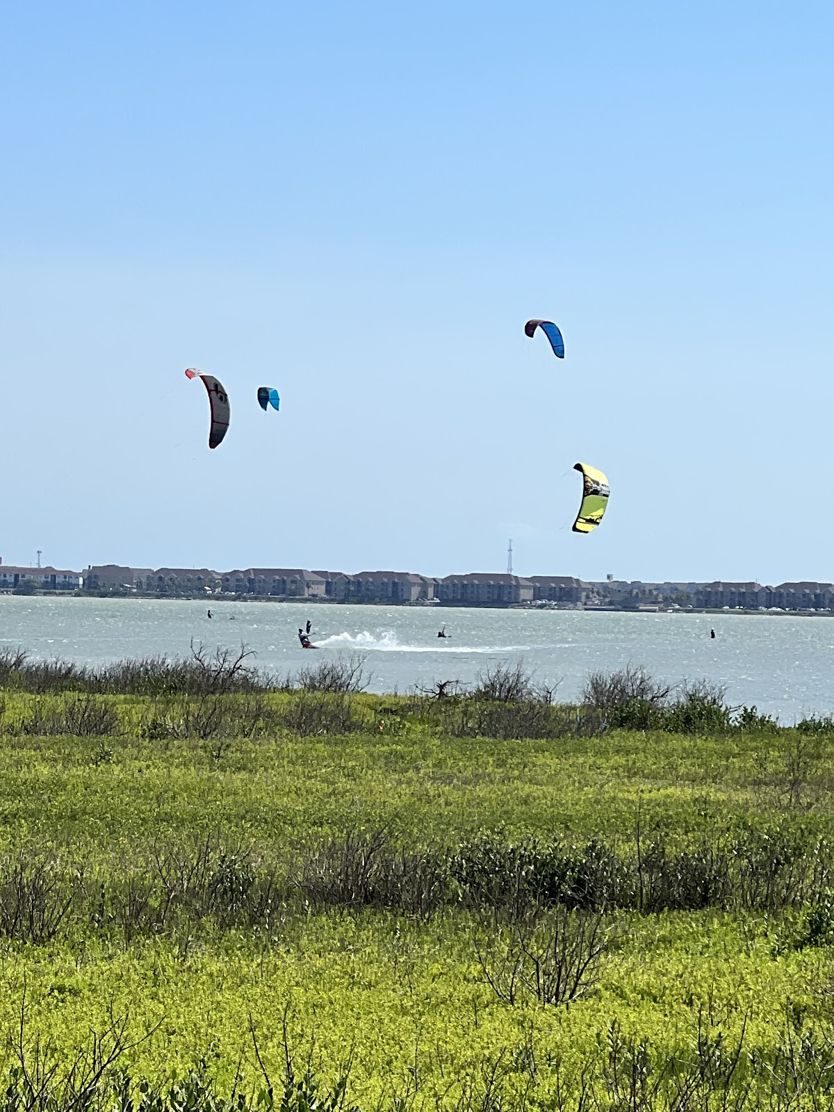 Texas A&M Corpus Christi photo 8