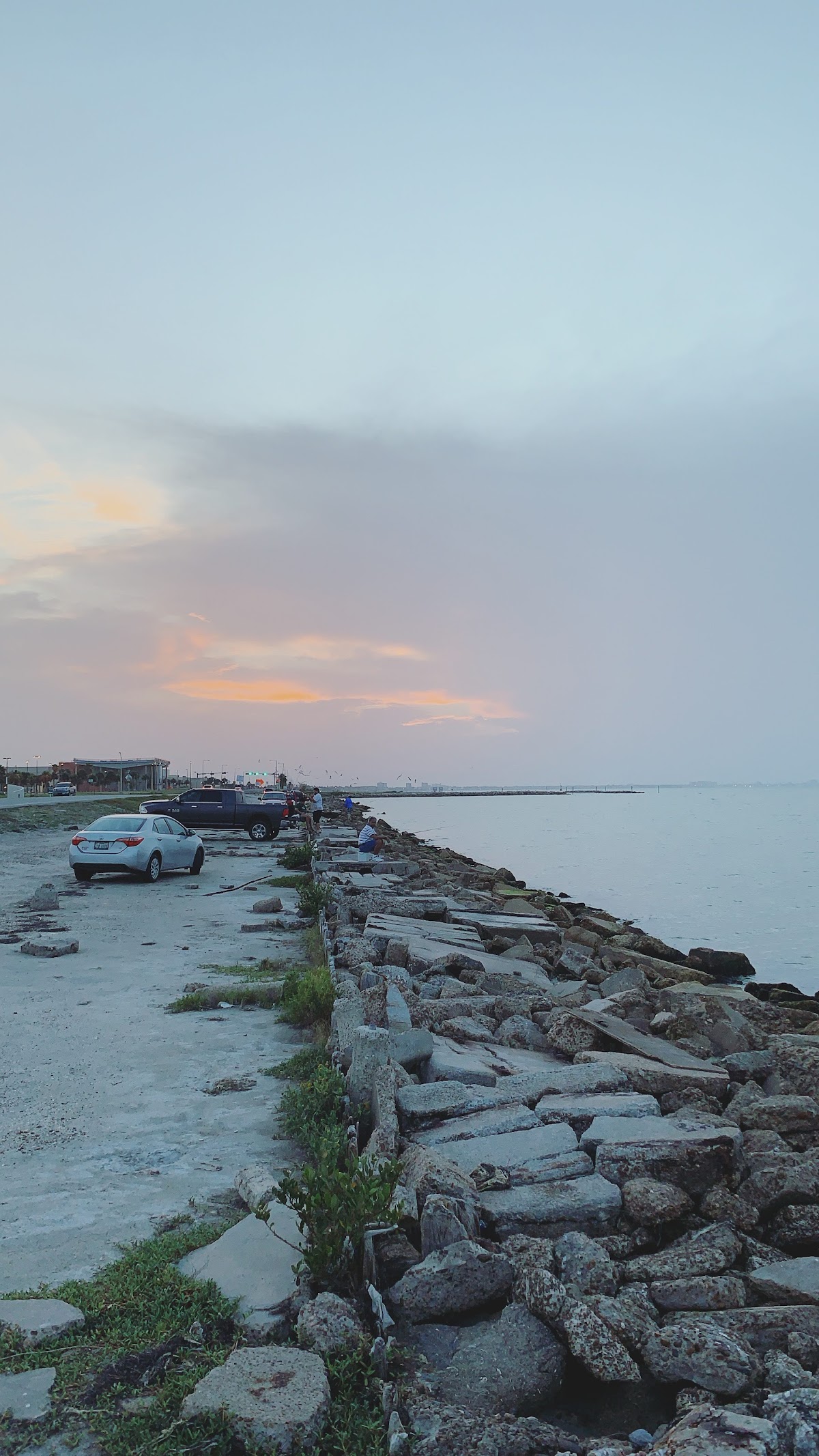 Texas A&M Corpus Christi photo 9