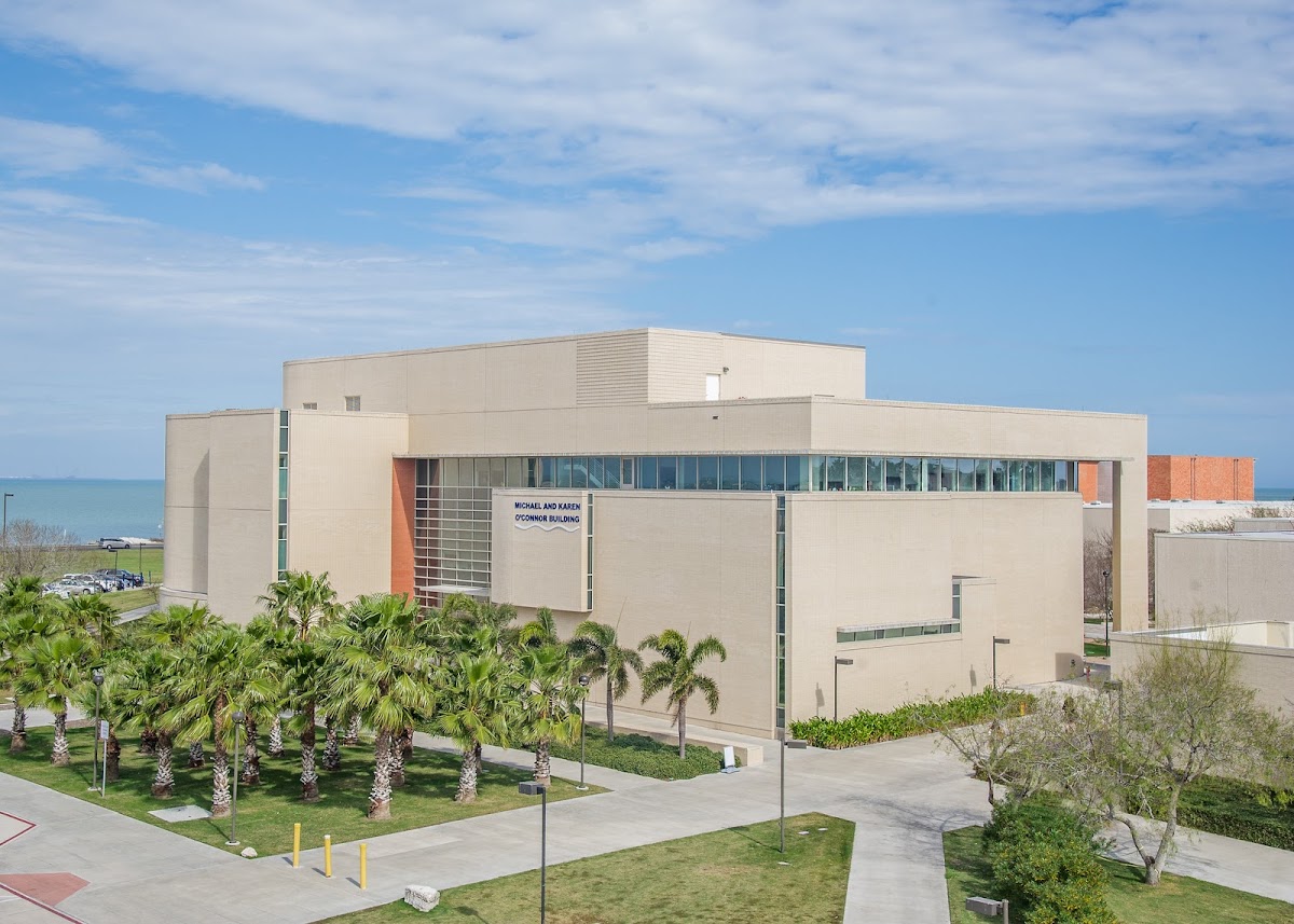 Texas A&M University-Corpus Christi photo 4