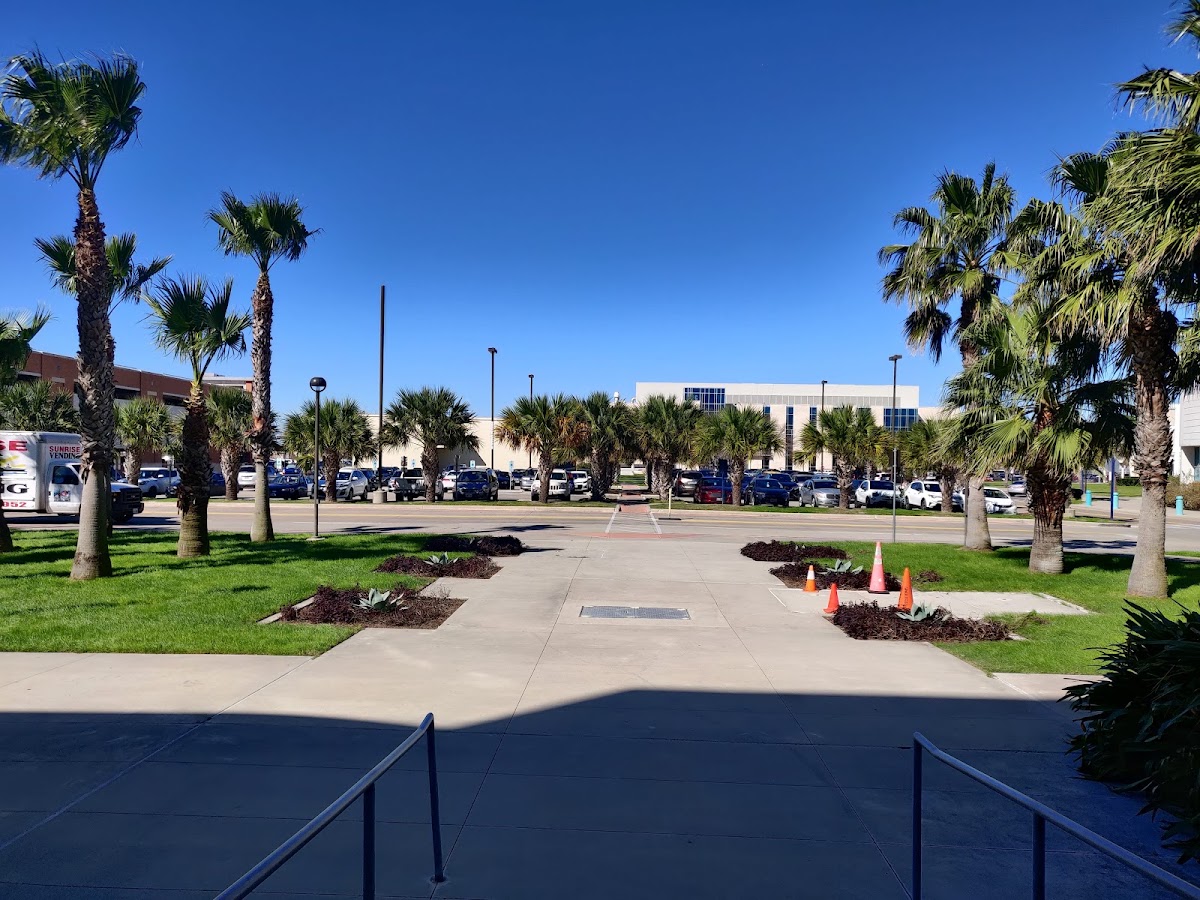 Texas A&M University-Corpus Christi photo 6