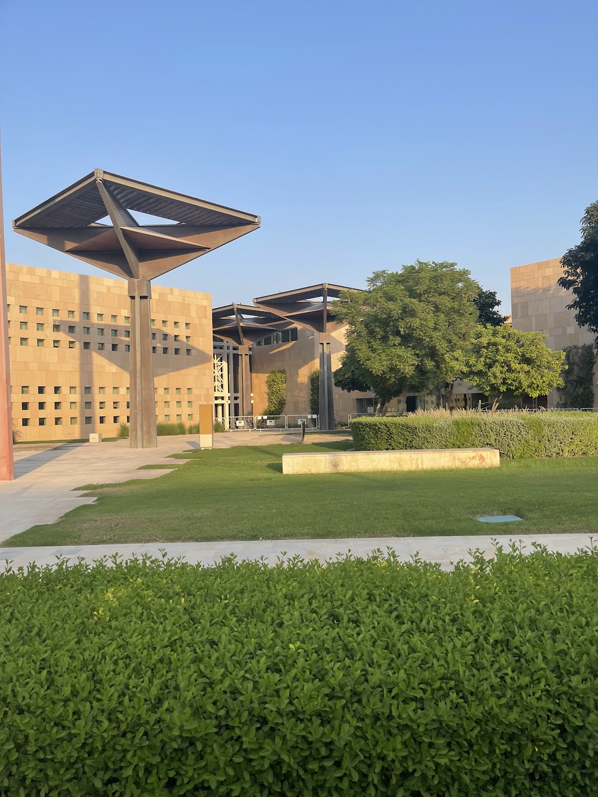 Hamad Bin Khalifa University photo 5