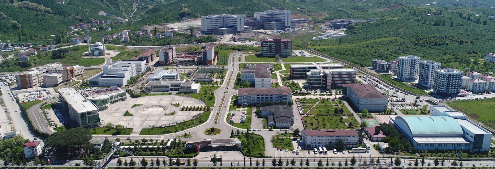 Ordu
