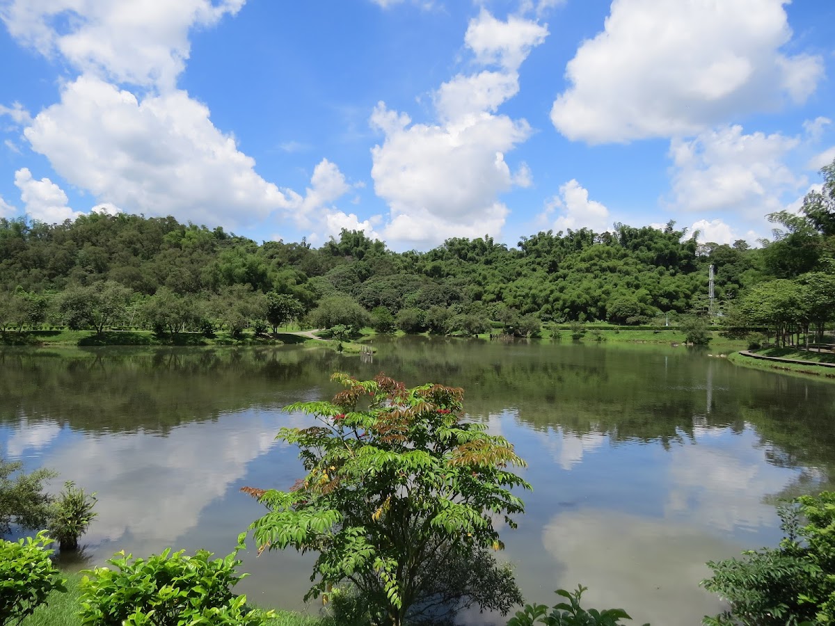 National Pingtung University photo 5