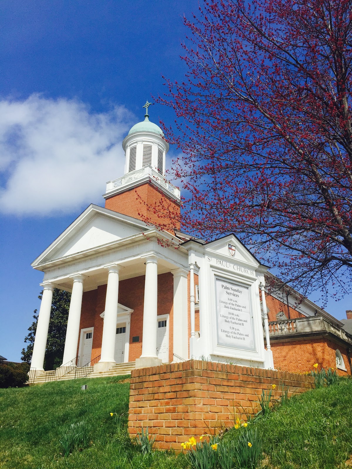 University of Virginia photo 8