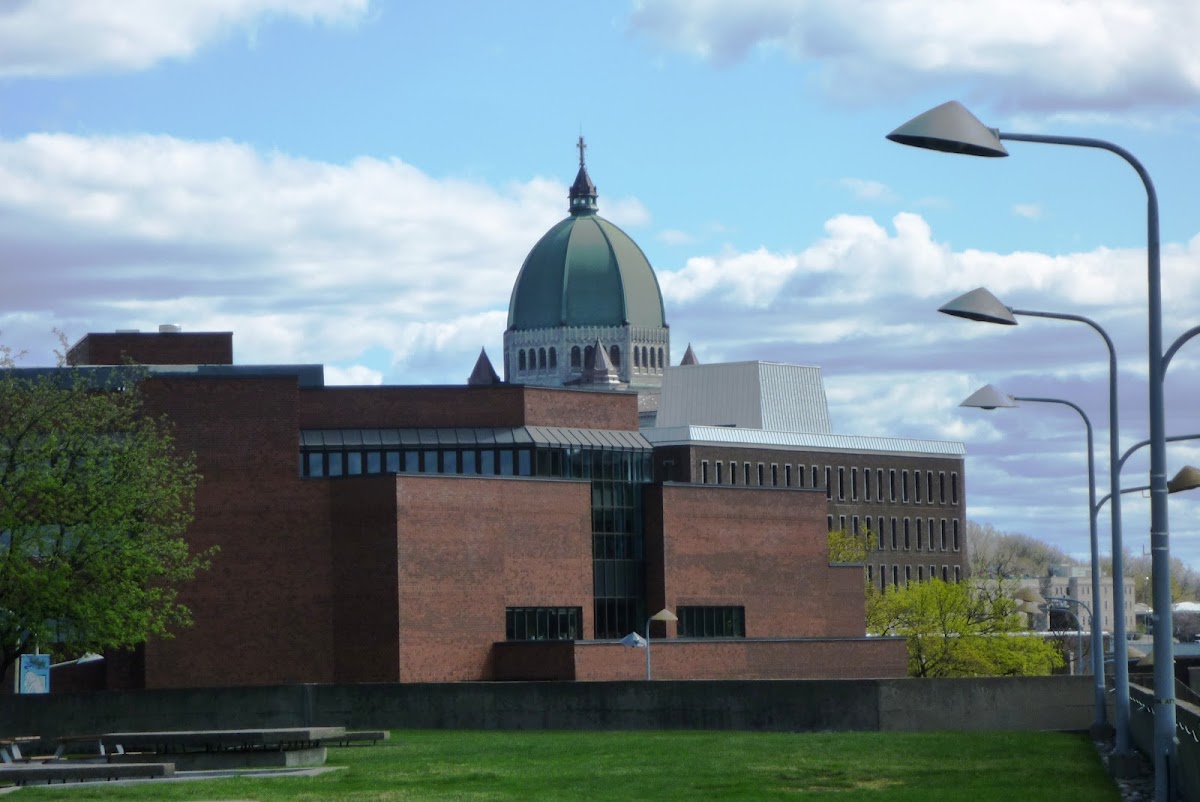 Université de Montréal photo 2