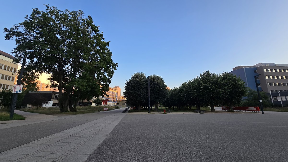 University of Strasbourg photo 2