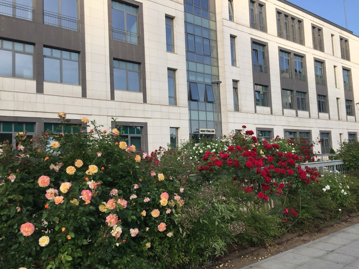 Türk-Alman University photo 7
