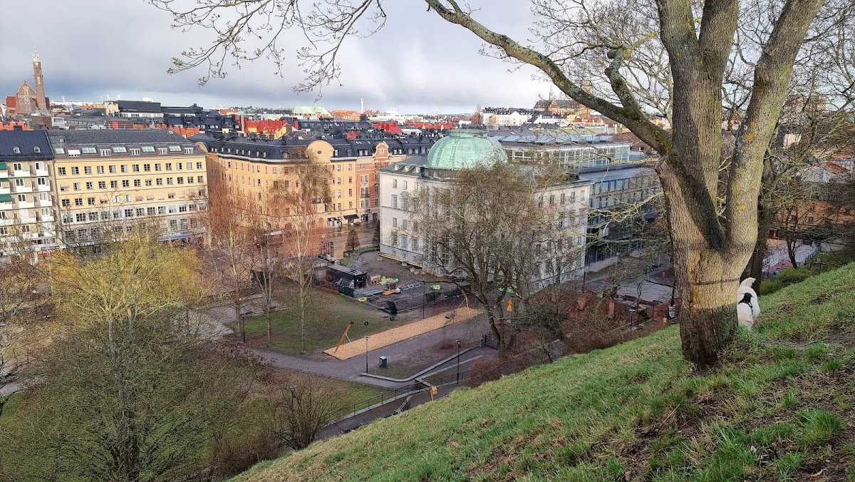 Stockholm School of Economics photo 1