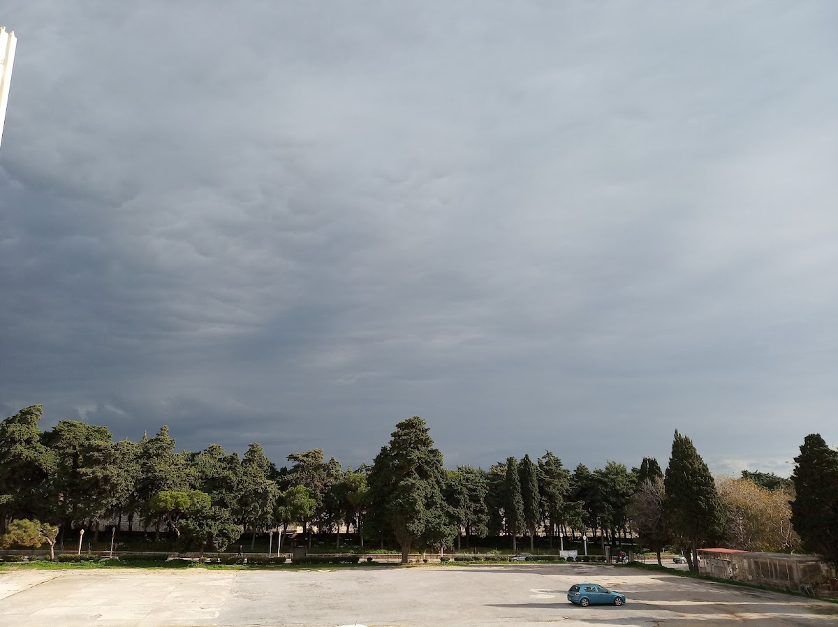 University of the Aegean (Rhodes) photo 4