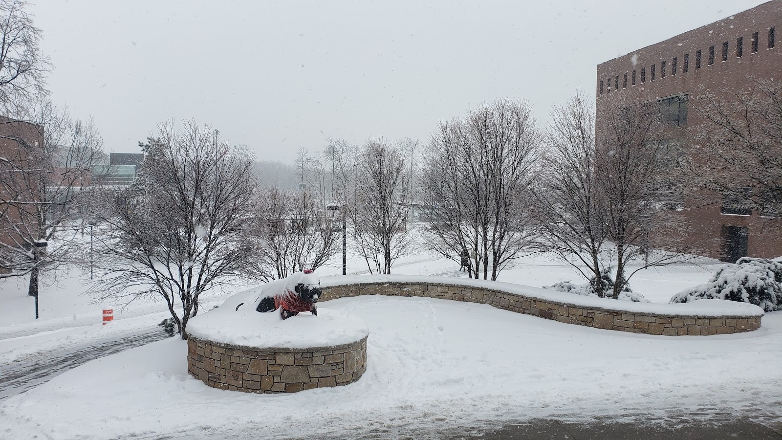 RIT