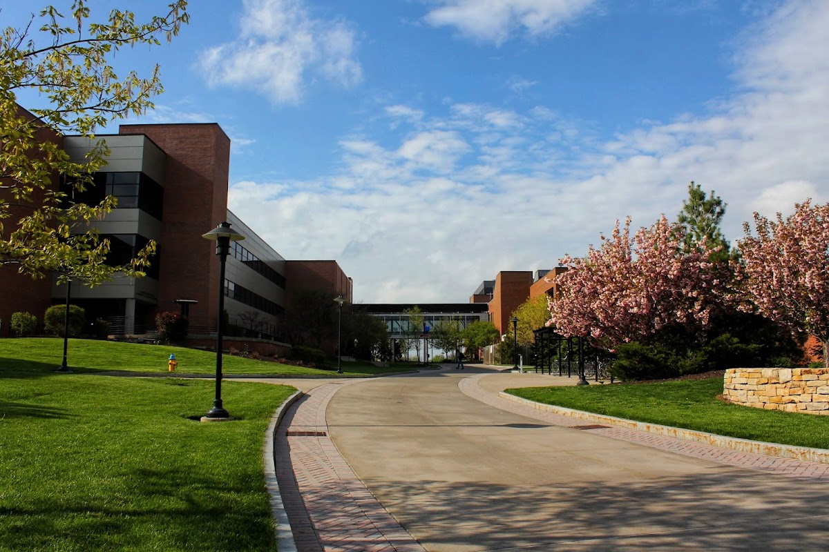 RIT photo 2