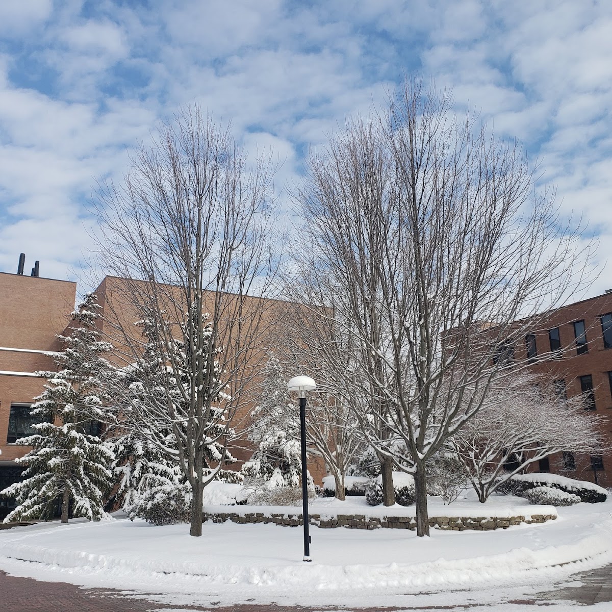 RIT photo 6